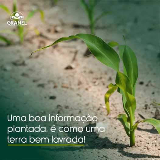 Granel Corretora - Comercialização Agrícola
